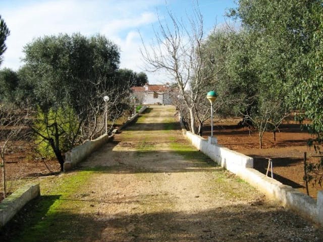 Villa with private park, olive grove and an orchard close to the coast Ref 367