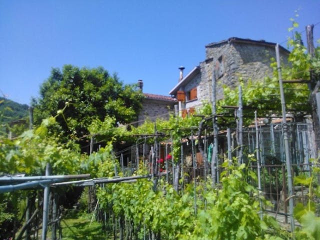 Renovated Tuscan stone built house with vineyard. Ref 1829