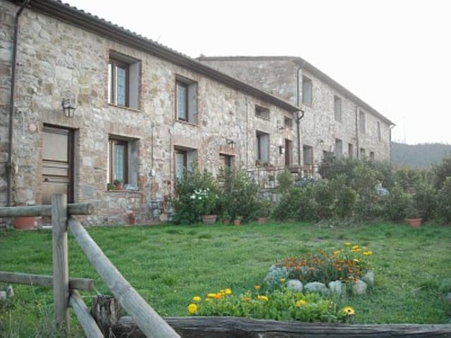 Farmhouse homes in Tuscany Ref: AYB02 