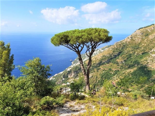 Panoramic ruin with land Amalfi coast Ref.RUR295