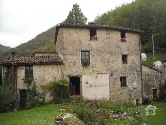 Renovated farmhouse in Tuscany set in 20 acres Ref 25-22