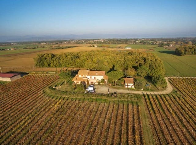 8-bedroom farmhouse estate with large vineyard in Umbria Ref: ACC070