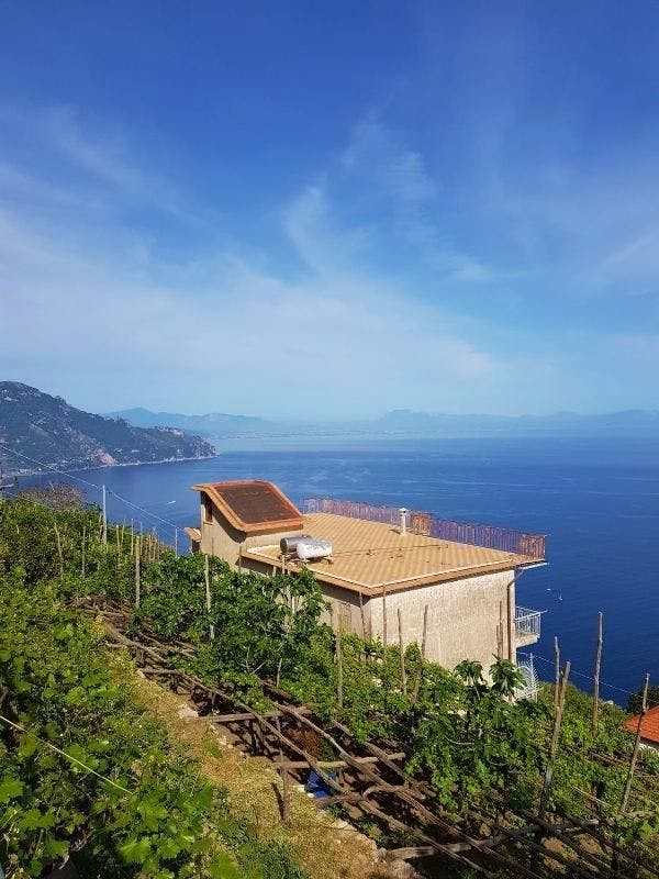 Sea-view Amalfi Coast apartment block Ref: TFA100