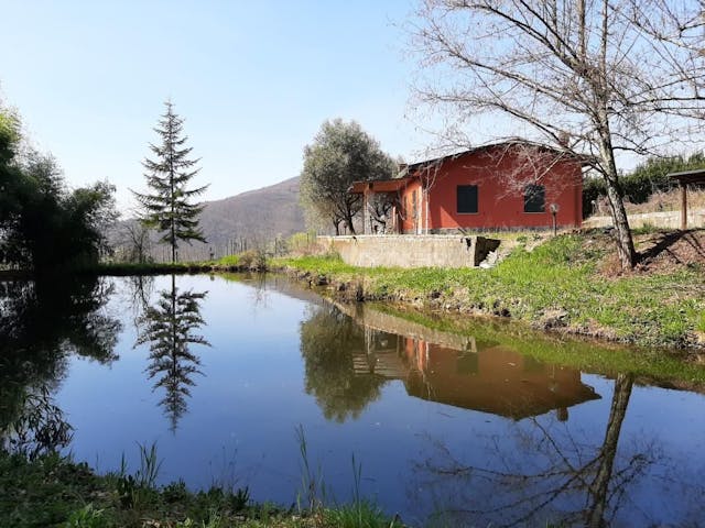 Detached house with land and pond - Ref: 2402